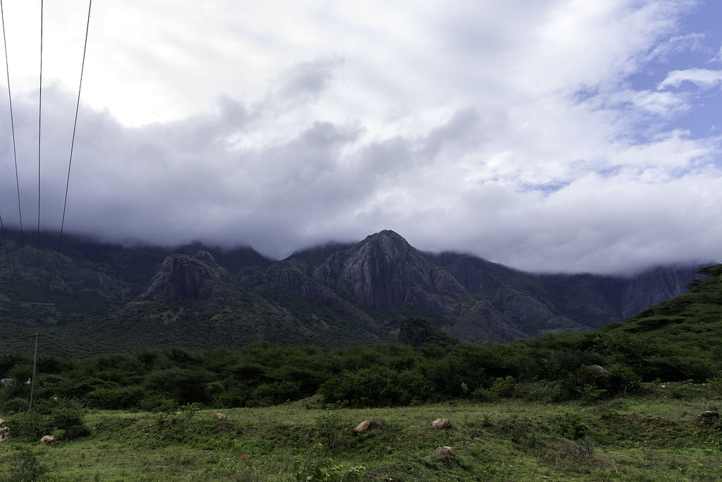 நியூட்ரினோ