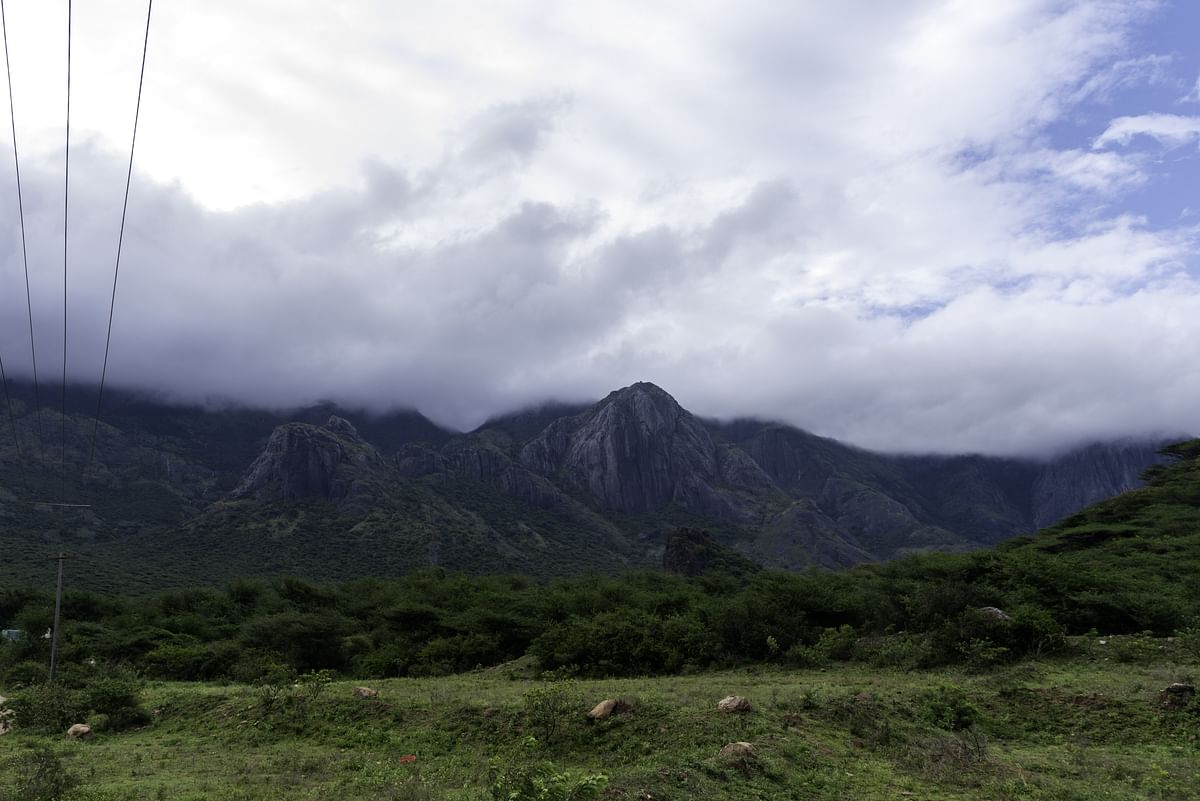 நியூட்ரினோ