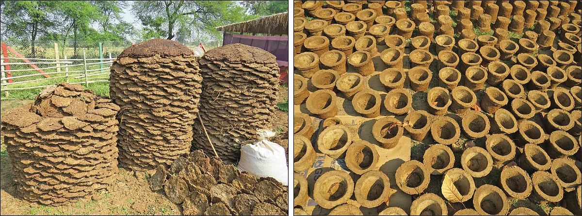 மாடுகளின் சாணத்திலிருந்து தயாரிக்கப்படும் பொருள்கள்