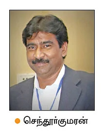 பழ ஈக்களால் 70% மகசூல் குறையும்! - முருங்கை விவசாயிகளே கவனம்!