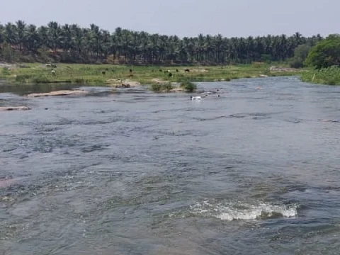 திமுக-வுக்கு மீண்டும் அப்செட் கொடுக்கப்போகிறதா பொள்ளாச்சி?! - வெடிக்கும் உட்கட்சிப்பூசல்