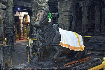 நந்தி
