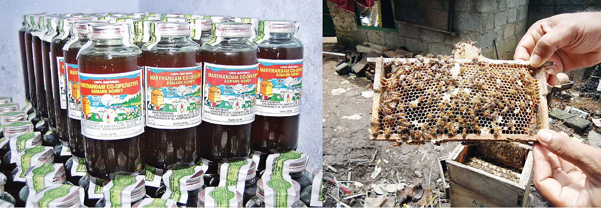 Marthandam Honey