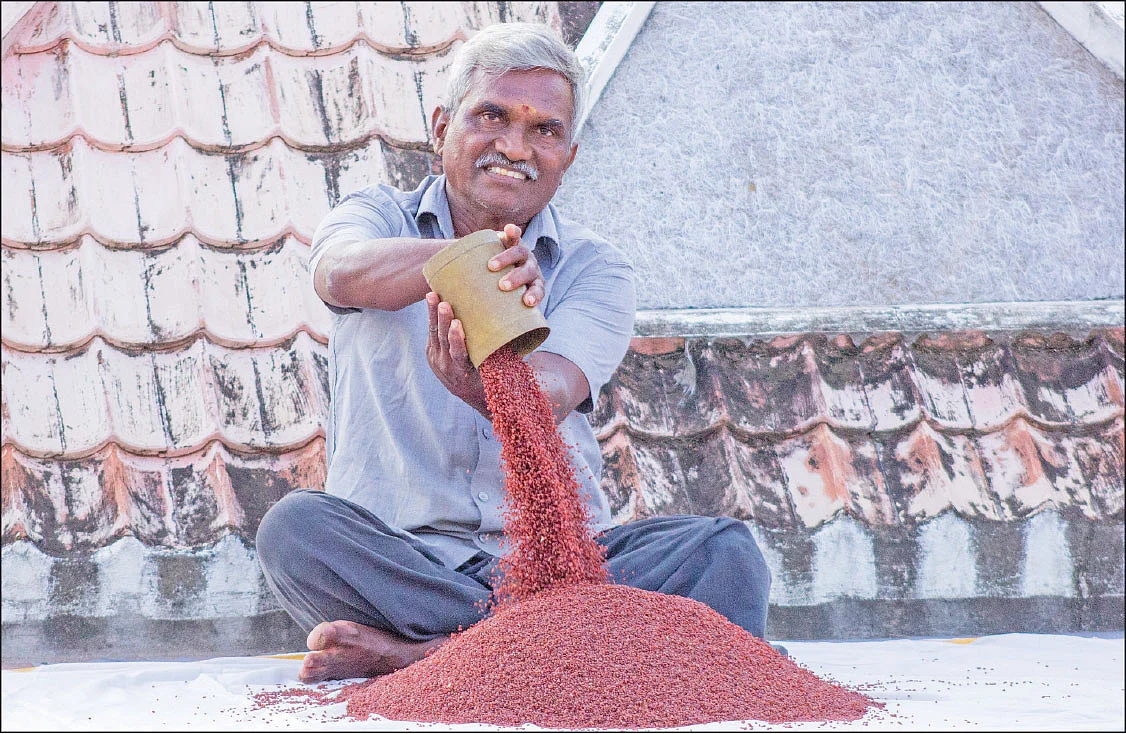 மாப்பிள்ளைச் சம்பா அரிசியுடன்