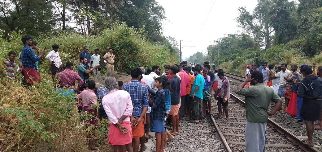 யானை