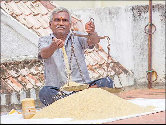 பாரம்பர்ய நெல் ரகத்தில் நல்ல லாபம்! - இடியாப்ப மாவு, சத்து மாவு, உப்புமா அரிசி!