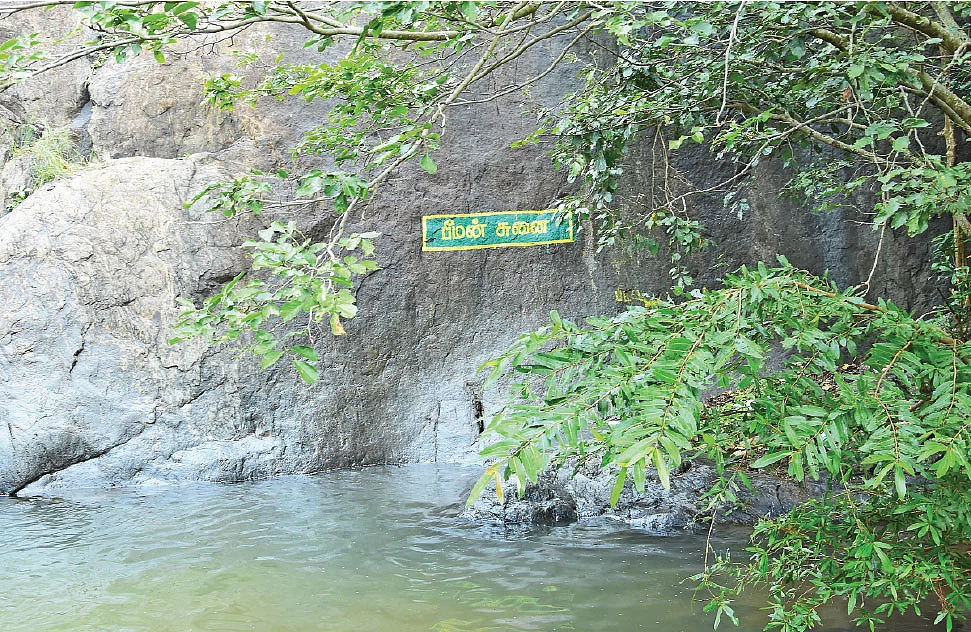 பஞ்சபாண்டவர்கள் பெயரில் இதுபோல்
5 சுனைகள்...