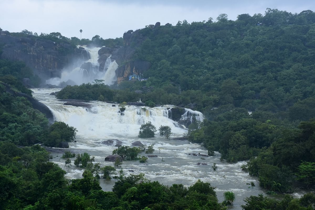 பருவமழையின் தீவிரத்தினால் பாபநாசம் அணையில் சீறிப்பாயும் வெள்ளம்.