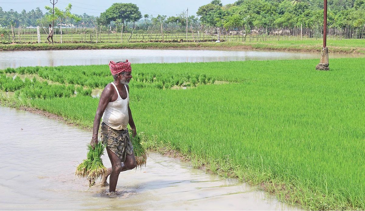 பூச்சி மேலாண்மை