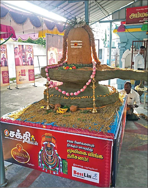 மூலிகை லிங்கம்