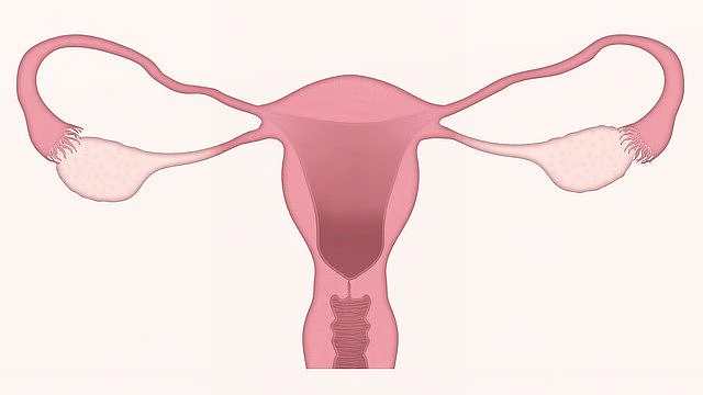 Menopause