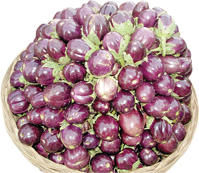 brinjal