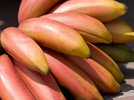 சுறுசுறுப்புக்கு உதவும் !