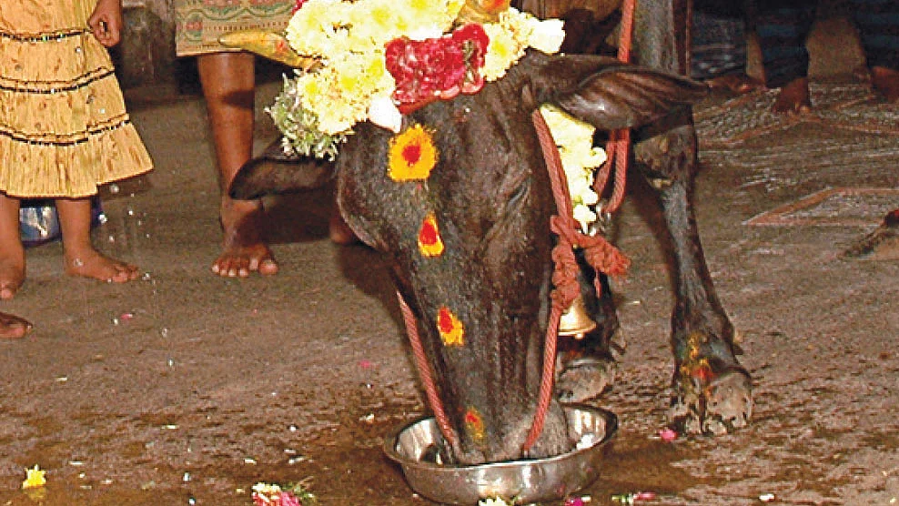கோ பூஜை
