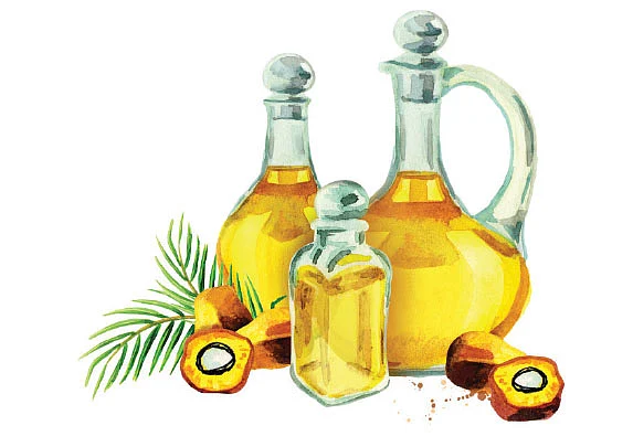 Palm oil