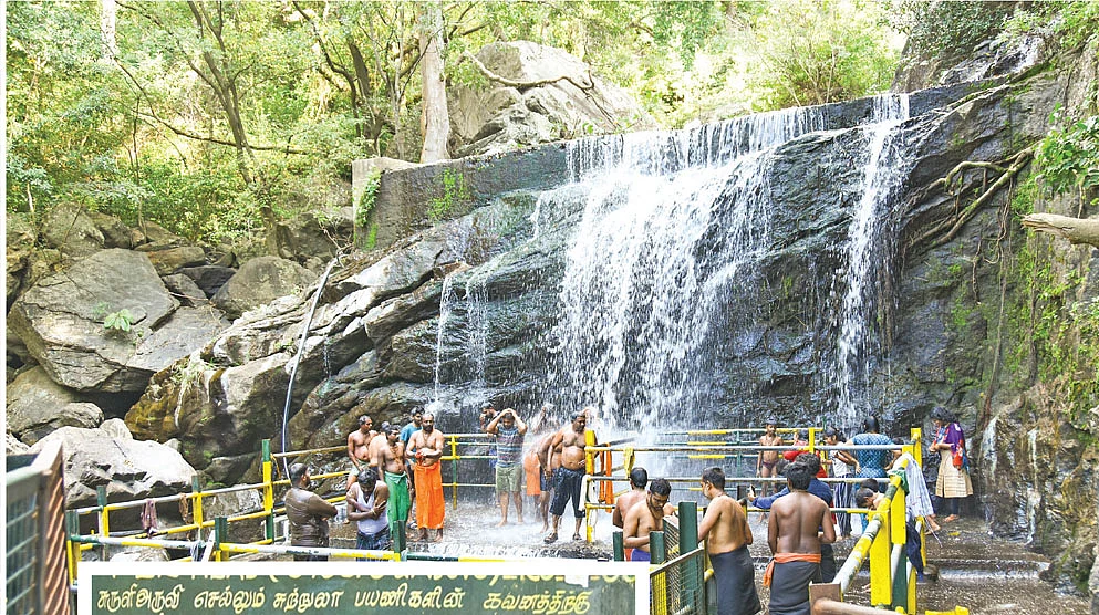 சுருளி அருவி