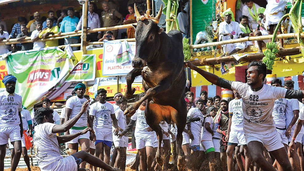 மாபெரும் சபைதனில்