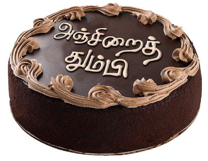 அஞ்சிறைத்தும்பி
