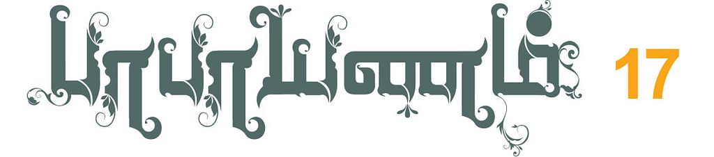 பாபாயணம் - 17