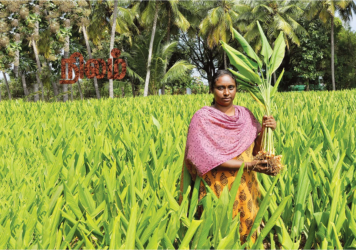சண்முகப்பிரியா