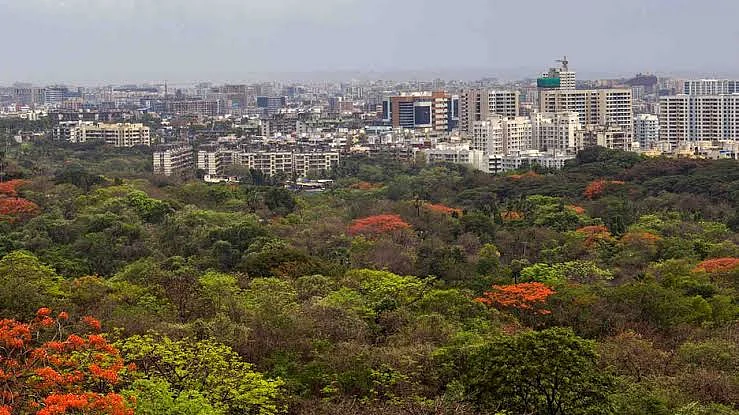 ஆரே காடுகள்