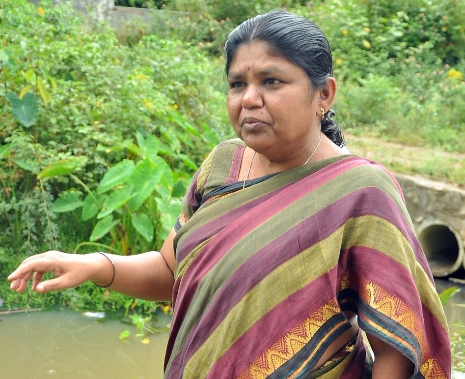 பாலபாரதி