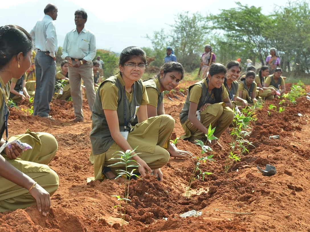 பீமா மூங்கிலில் ஆக்சிஜன் பூங்கா - தேனியில் புதிய முயற்சி!