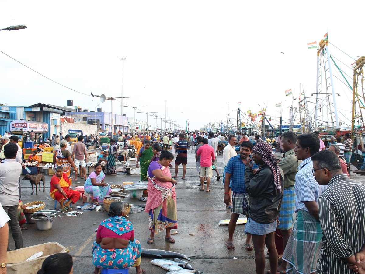 காசிமேடு மீன்பிடி துறைமுகத்தில் ஒருநாள் எப்படி இருக்கிறது? படங்கள்: ஸ்மிாிதி பாஸ்கா்