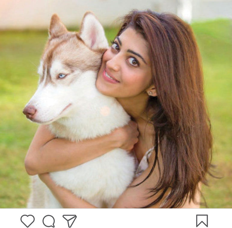 Praneetha