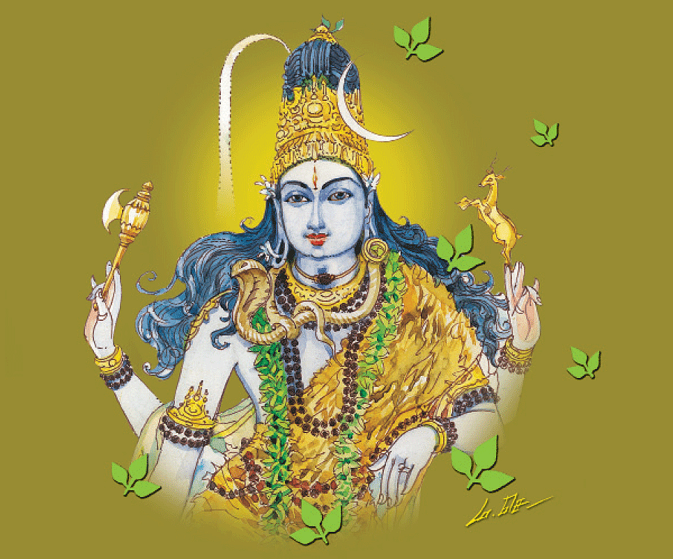 திருவருள் திருவுலா