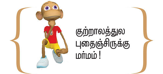 இறையுதிர் காடு - 65
