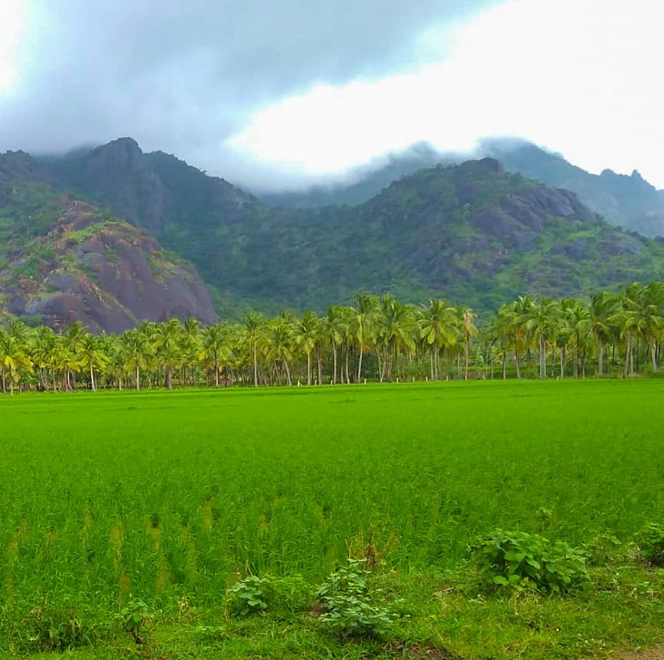 கன்னியாகுமரி