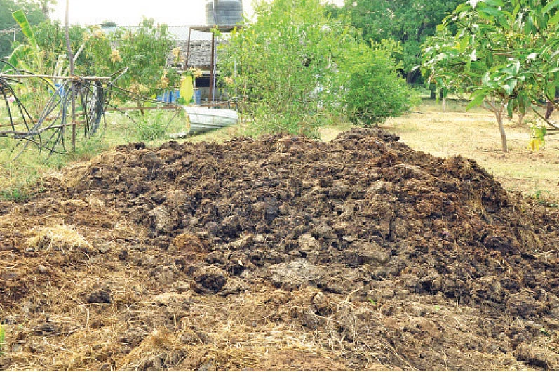 சாணம்