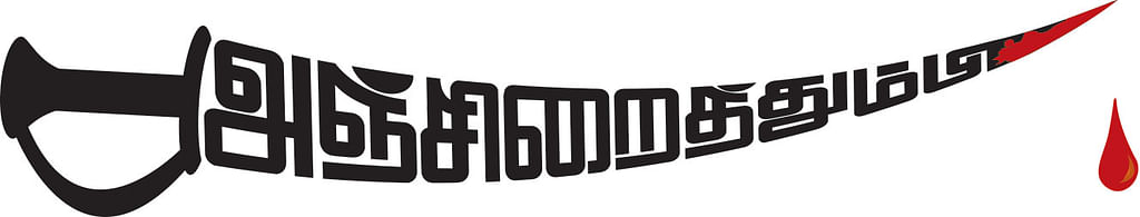 அஞ்சிறைத்தும்பி