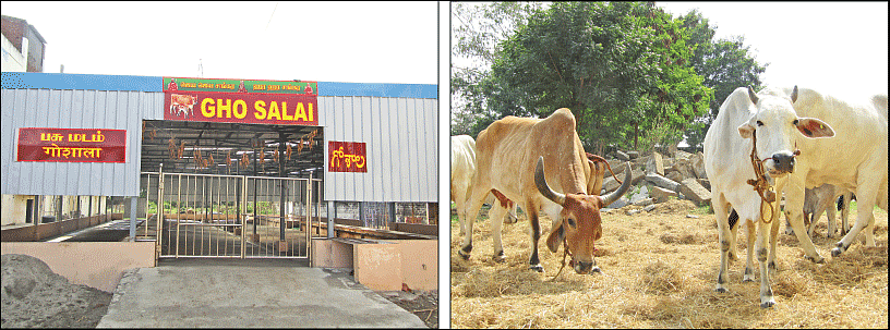 ராமாயணம் முதல் மகா பெரியவா வரை...