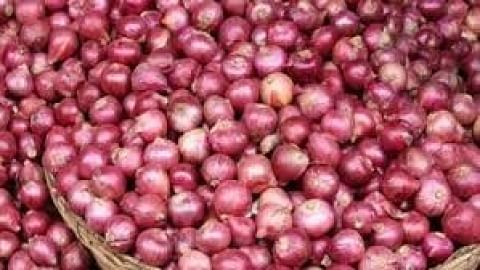 வெங்காய விலை