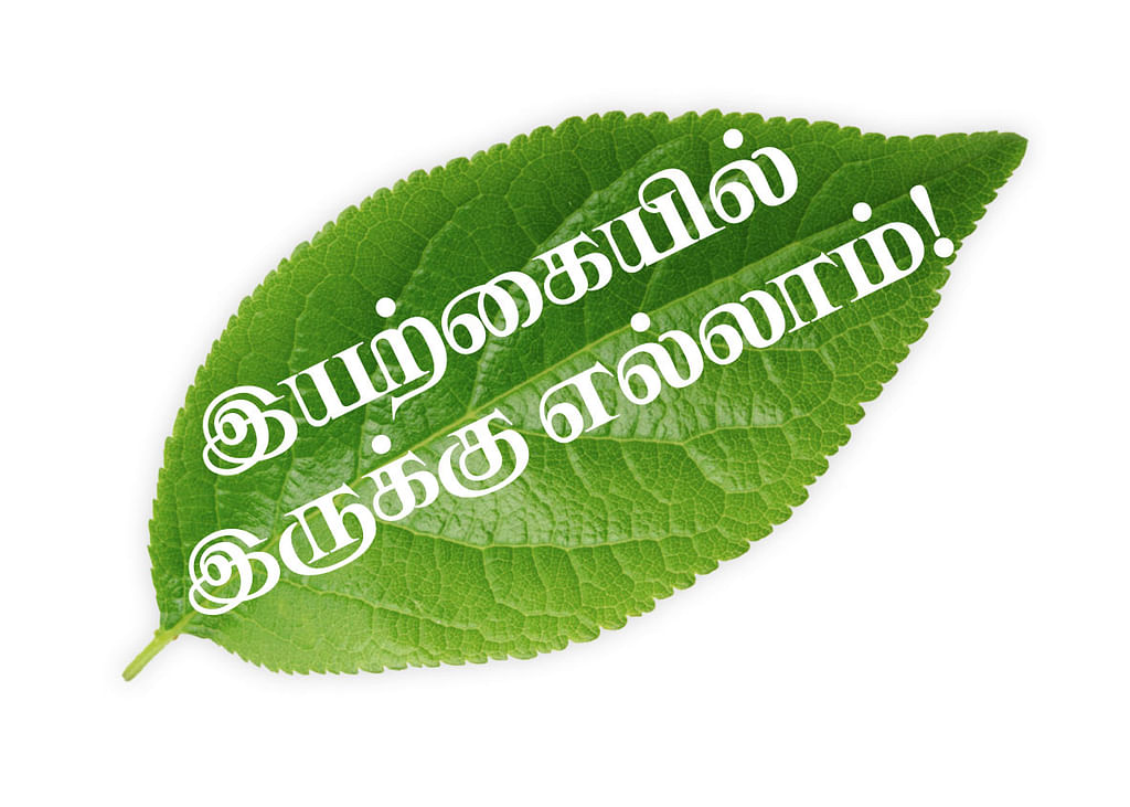 இயற்கையில் இருக்கு எல்லாம்!