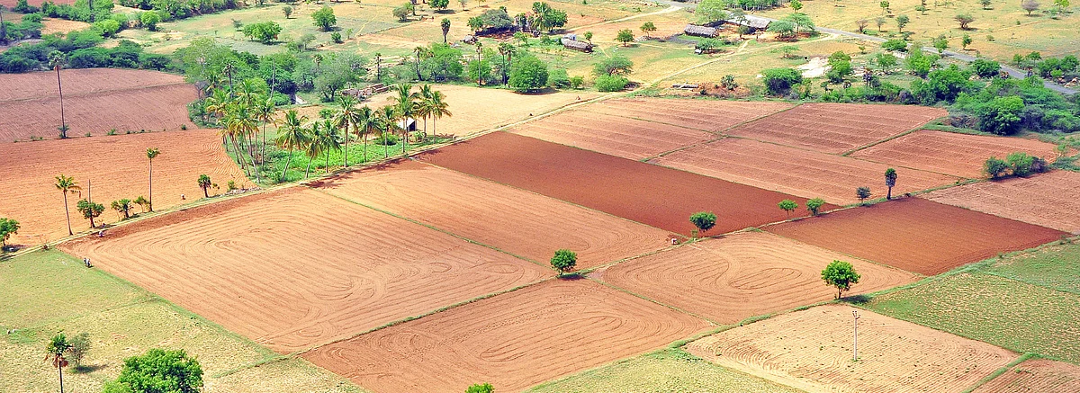 Organic farming