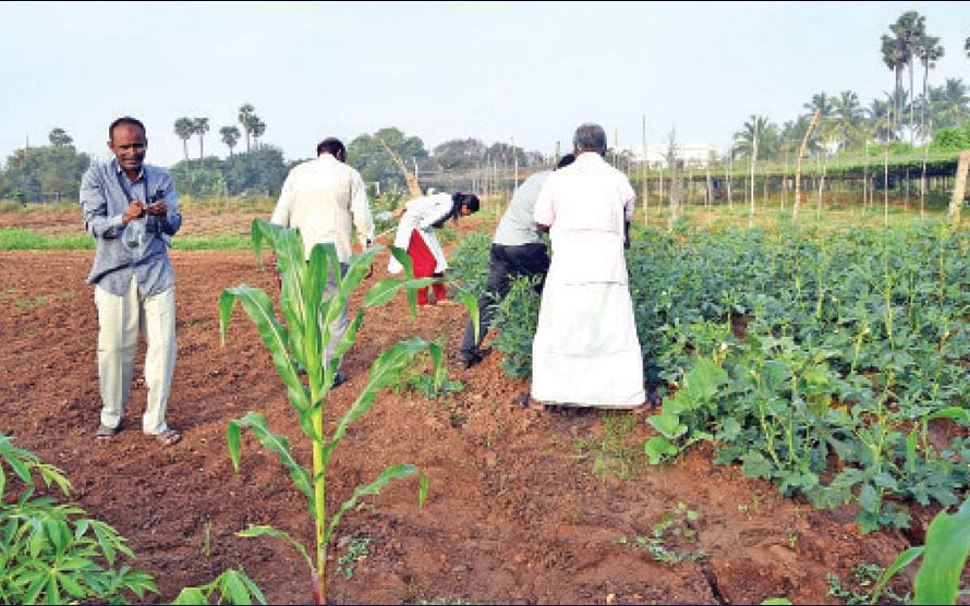 இயற்கை வேளாண் பண்ணையில் இது இருக்க வேண்டும்!