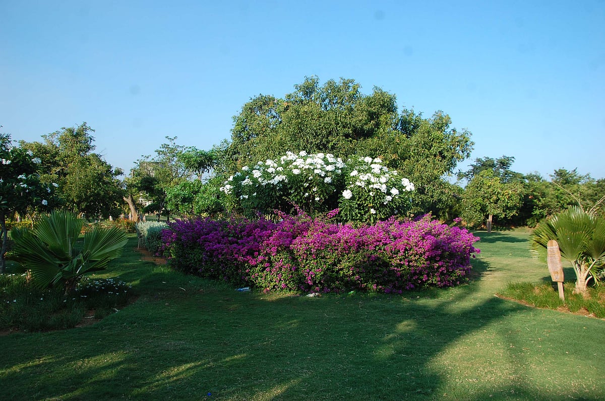 சென்னையில் அமையும் கலைஞர் நூற்றாண்டு பூங்கா... இடம்பெற வேண்டிய அம்சங்கள் என்ன?