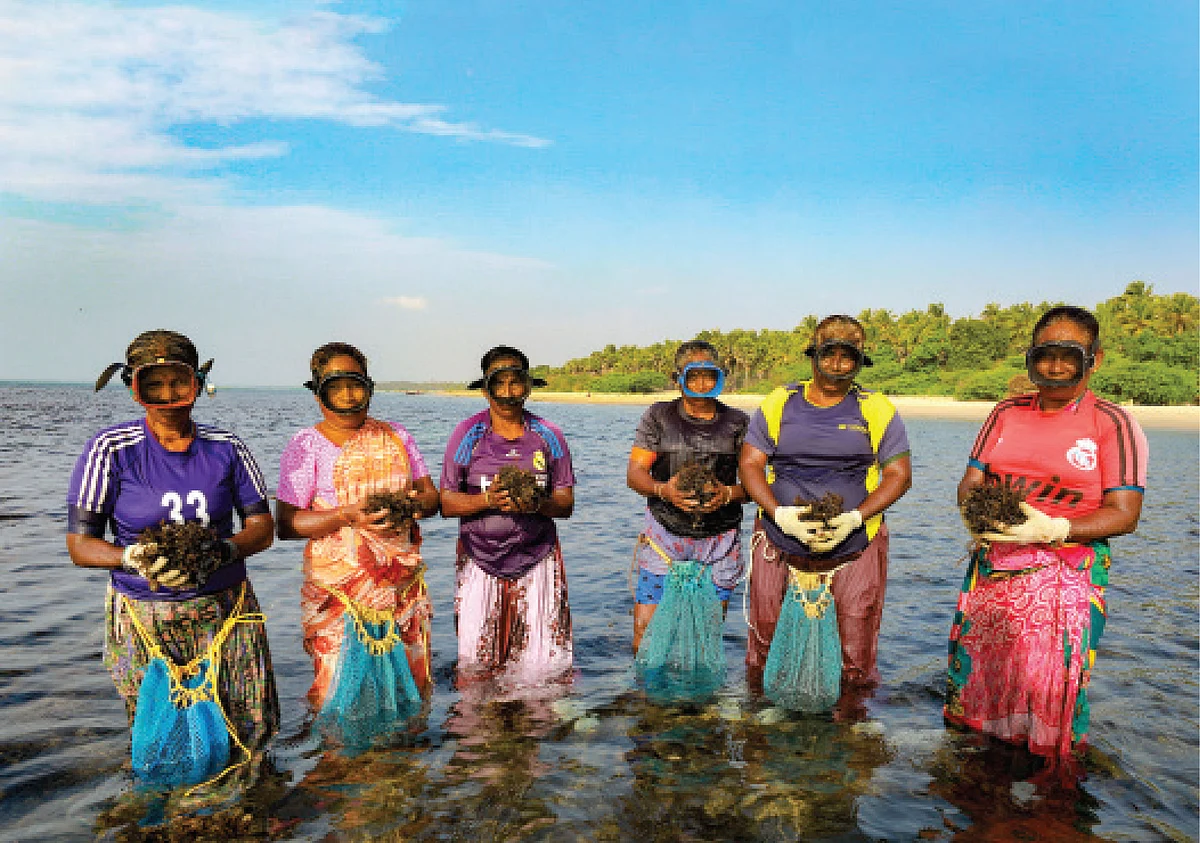தென்கடலின் சூப்பர் வுமன்கள்!