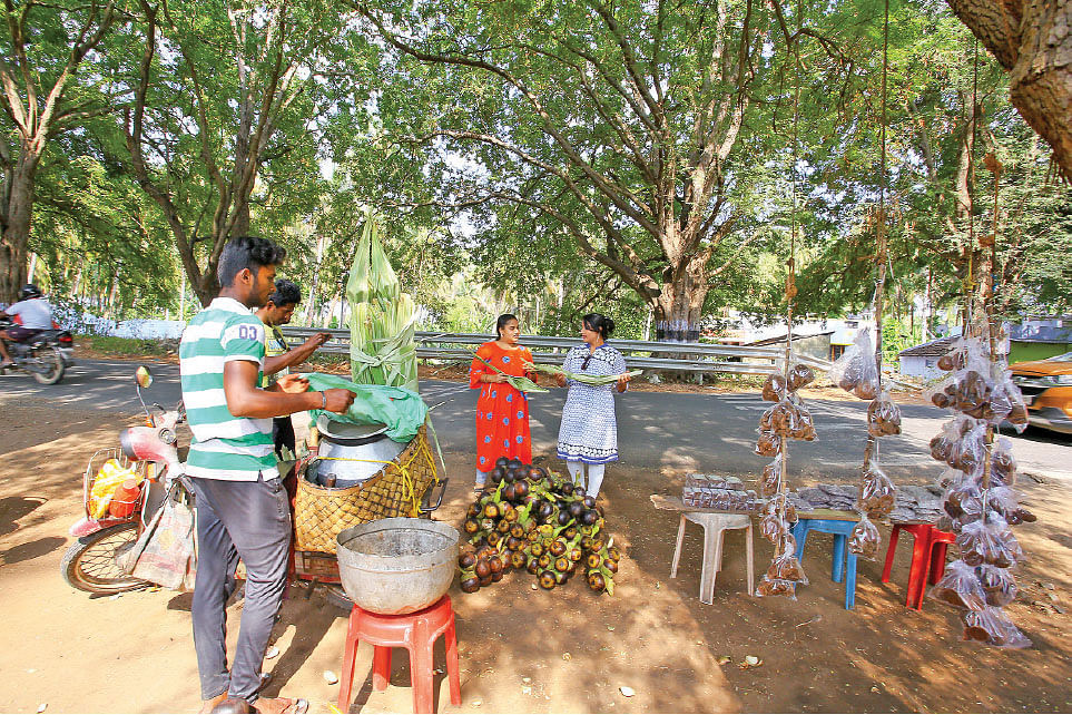 பொள்ளாச்சி இளநீர், நுங்கு... பட்டப்பகலிலும் வெயில் தெரியவில்லை.