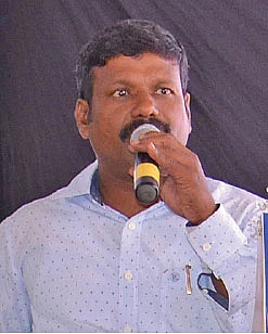 குளோனல் சவுக்கு... ஹெக்டேருக்கு 100 டன் மகசூல்!