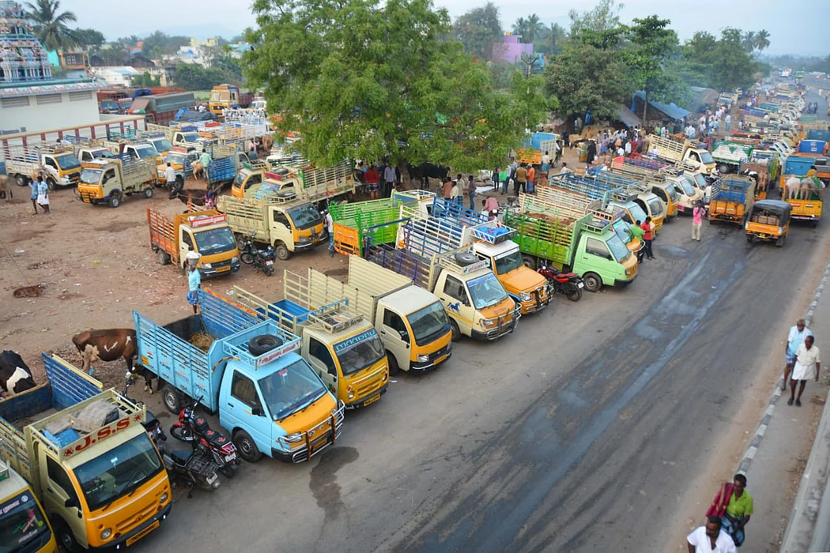 பொய்கை மாட்டுச் சந்தை