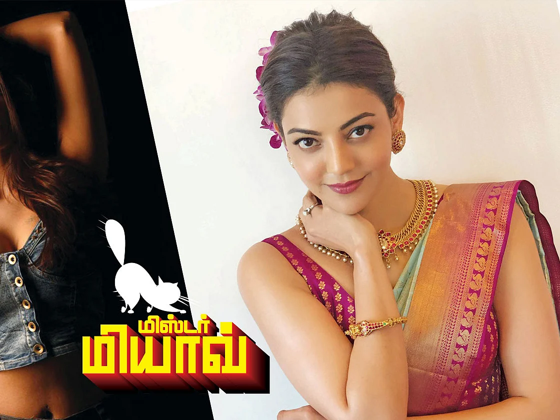 மிஸ்டர் மியாவ்