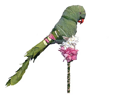 கிளி