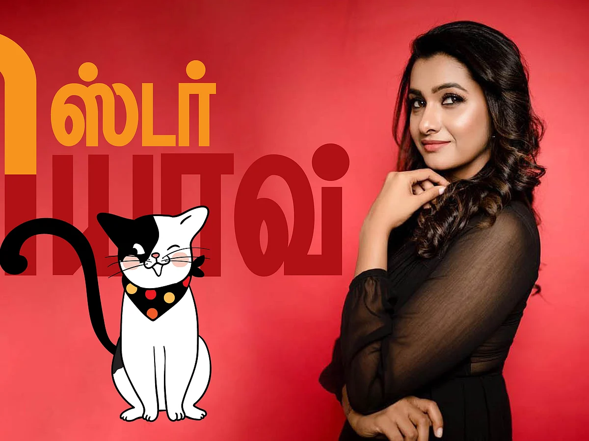 மிஸ்டர் மியாவ்