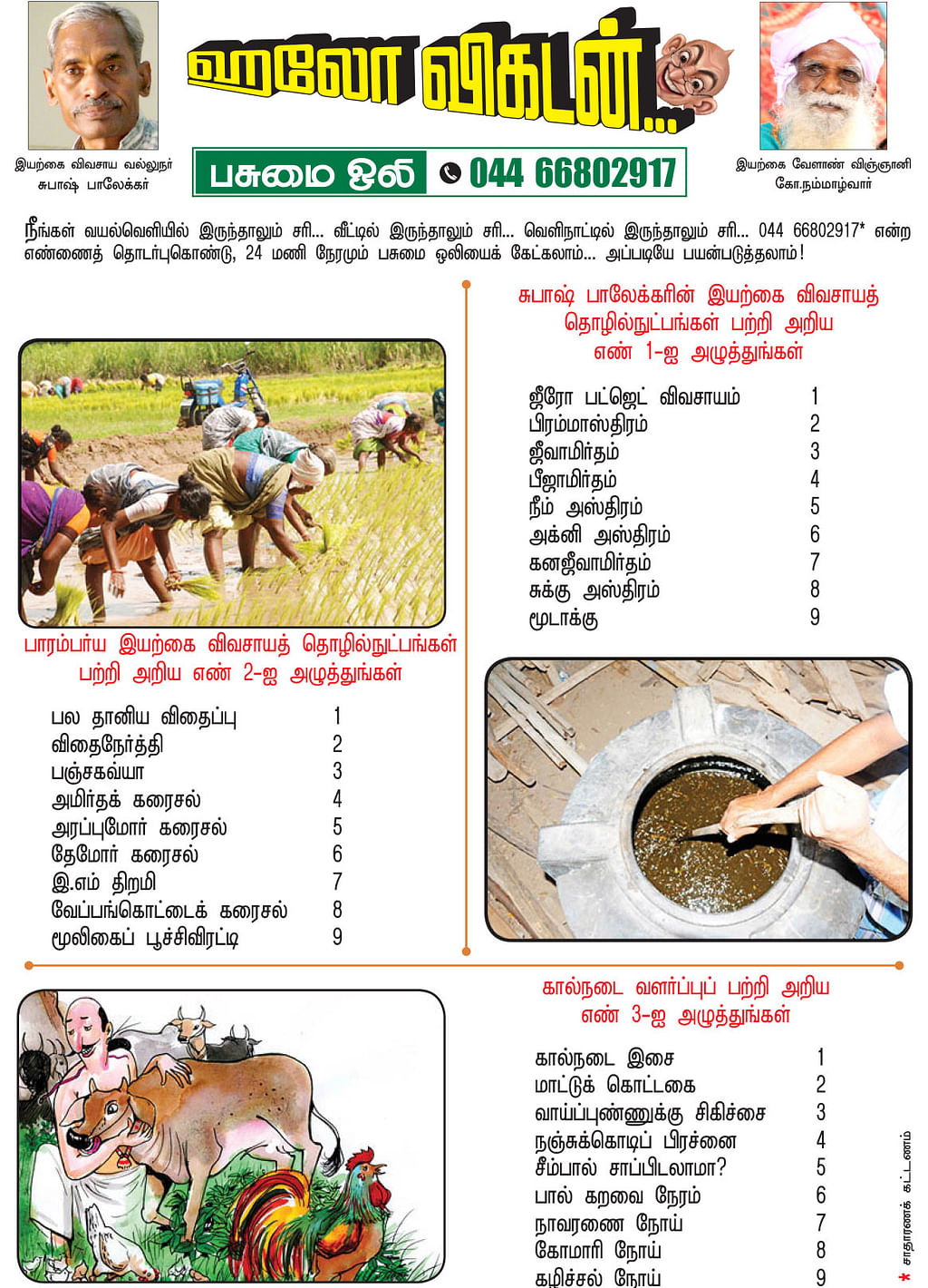 பசுமை ஒலி