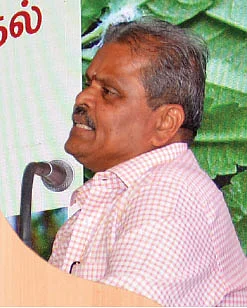 குளோனல் சவுக்கு... ஹெக்டேருக்கு 100 டன் மகசூல்!