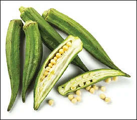 வெண்டைக்காய்